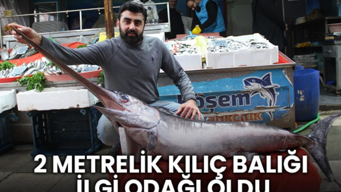 2 Metrelik Kılıç Balığı İlgi Odağı Oldu