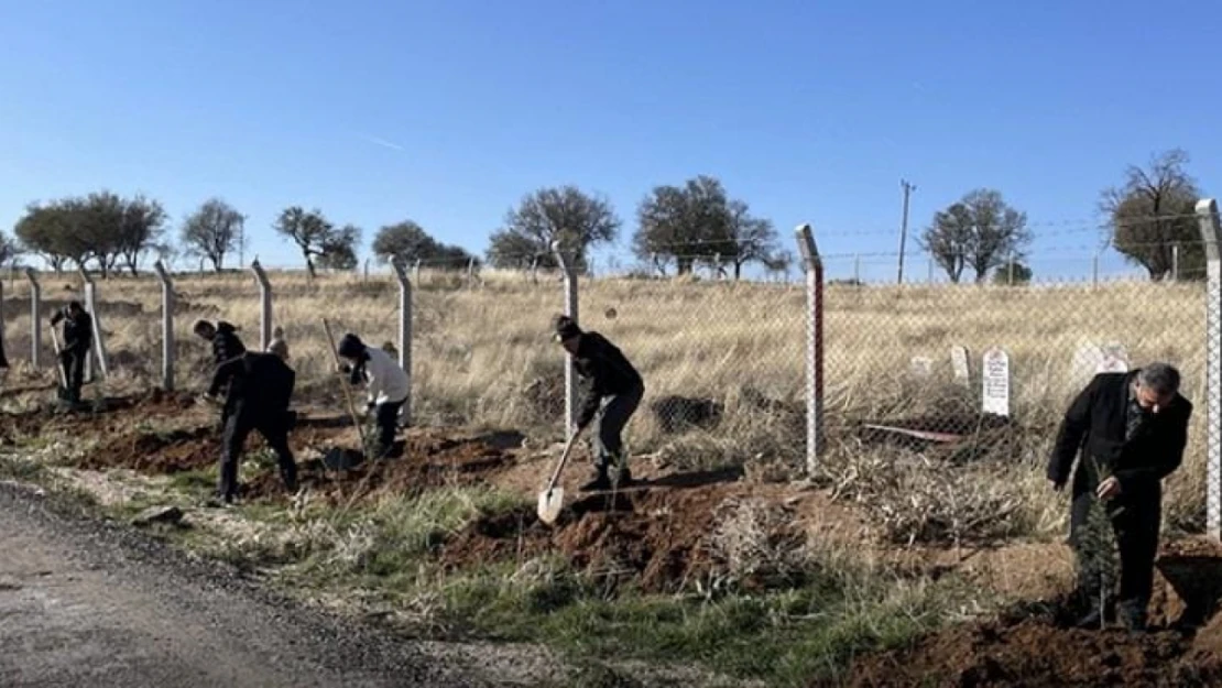 Beydalı köyü'nde 1000 fidan toprakla buluştu