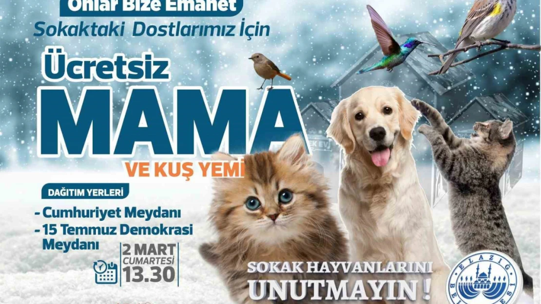 Elazığ Belediyesi ücretsiz mama ve kuş yemi dağıtacak