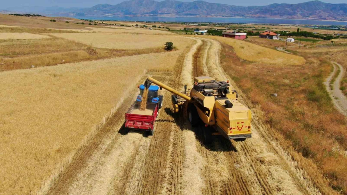 Elazığ'da 900 bin dekar alanda hasat yapılması bekleniyor