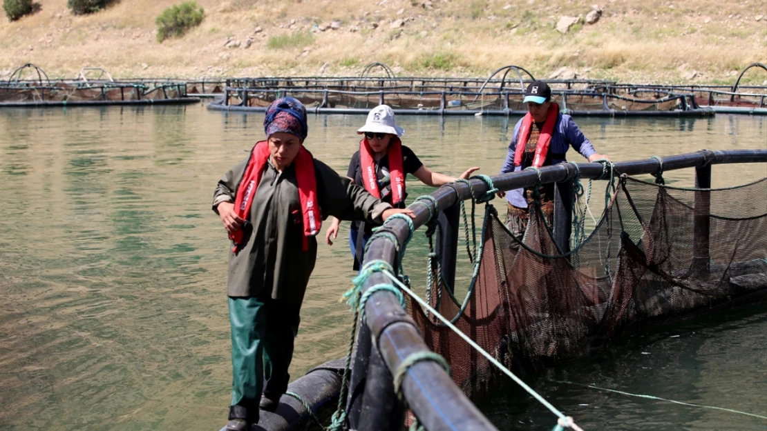 Elazığ'da alabalık üreten kadınlar ekmeğini Fırat Nehri'nden kazanıyor