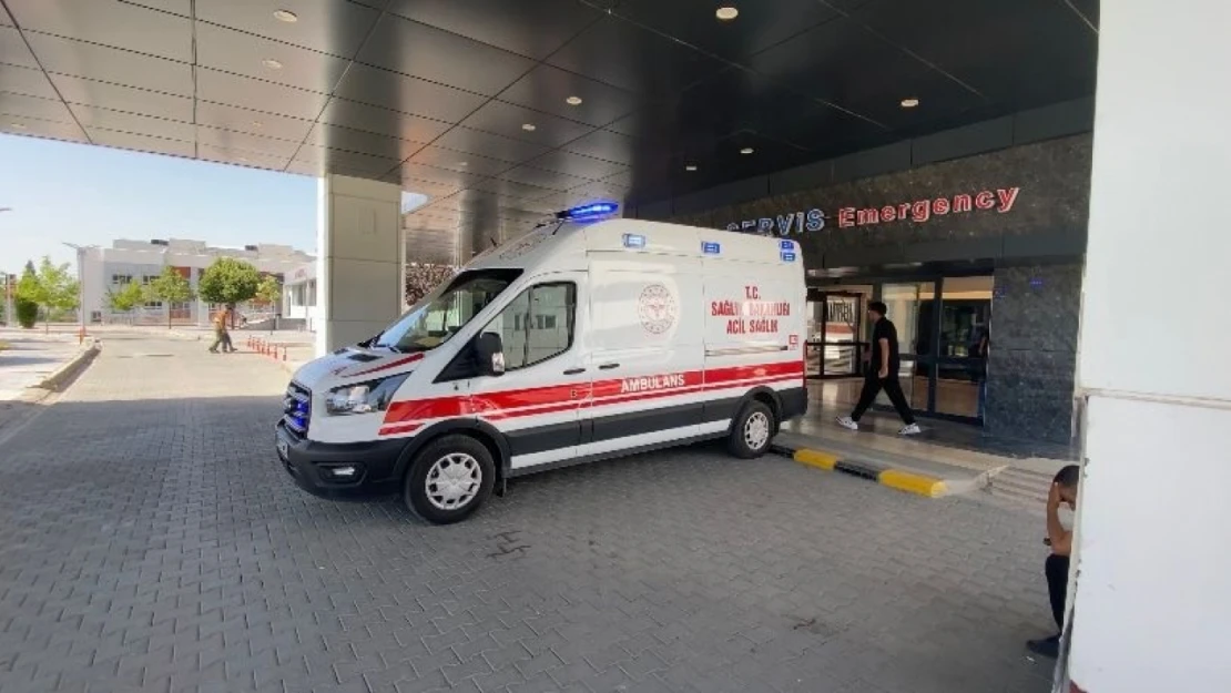 Elazığ'da bayramın ilk günü 27 acemi kasap hastanelik oldu