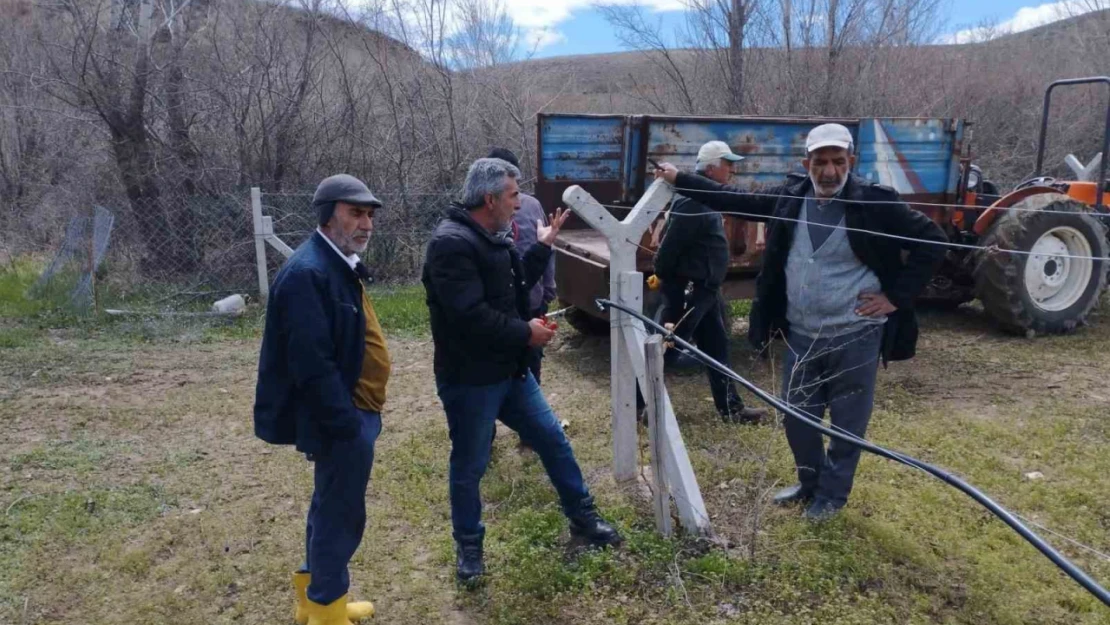 Elazığ'da çiftçilere bağ budama eğitimi