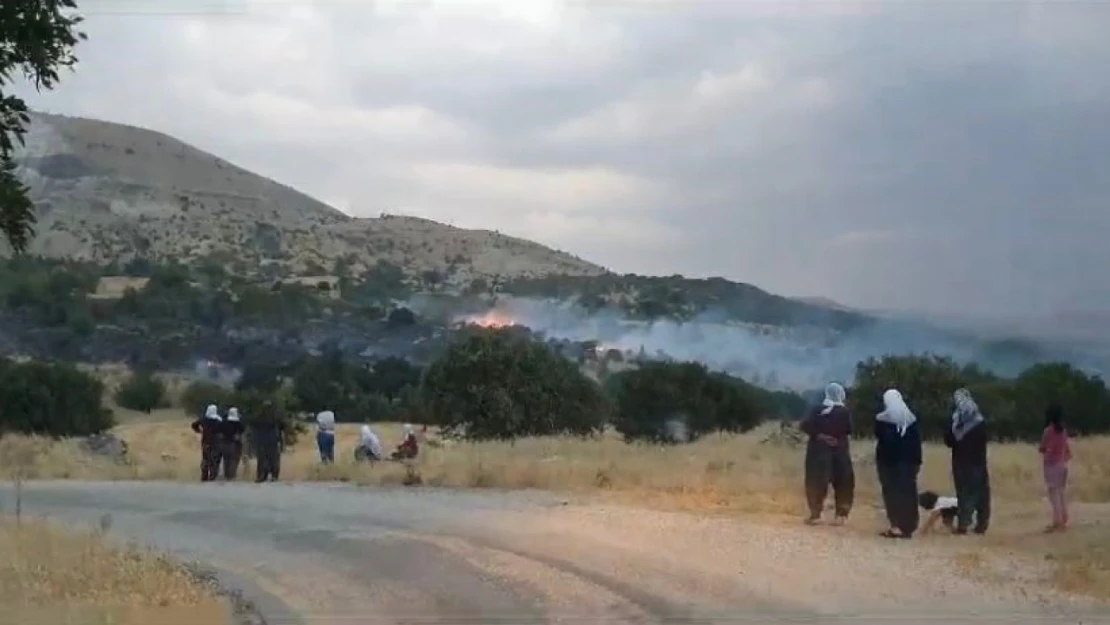 Elazığ'da düşen yıldırım otluk alanları yaktı