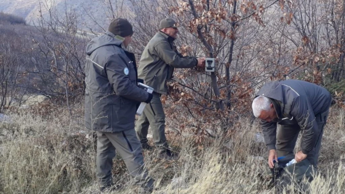 Elazığ'da fotokapanların bakımları yapıldı