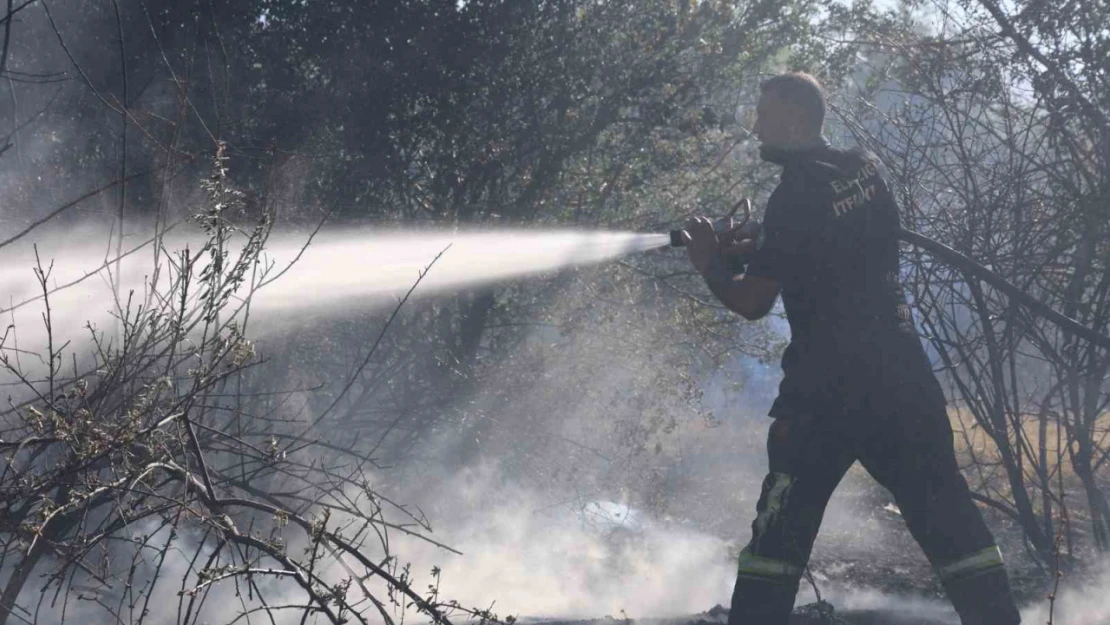 Elazığ'da itfaiye ekipleri bir günde 73 yangına müdahale etti