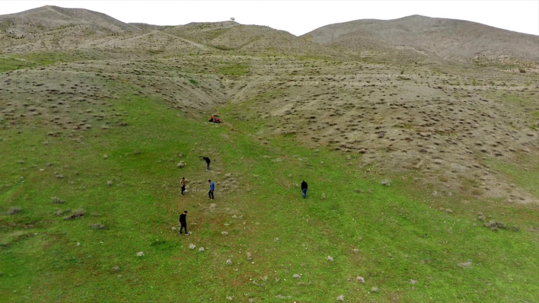 Elazığ'da Köylüler, Kırsalda Kumi Mantarı Topluyor