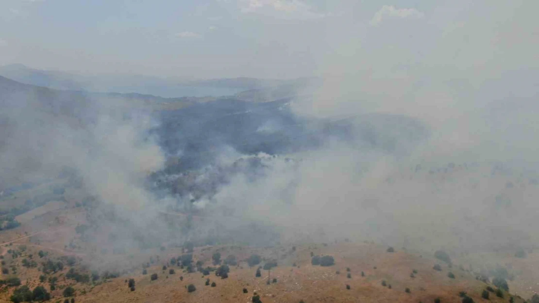 Elazığ'da orman yangını: Ekiplerin havadan ve karadan müdahalesi sürüyor