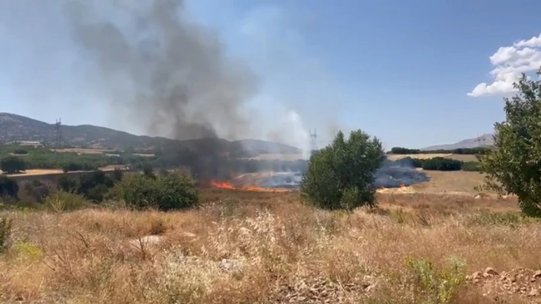 Elazığ'da otluk arazide yangın