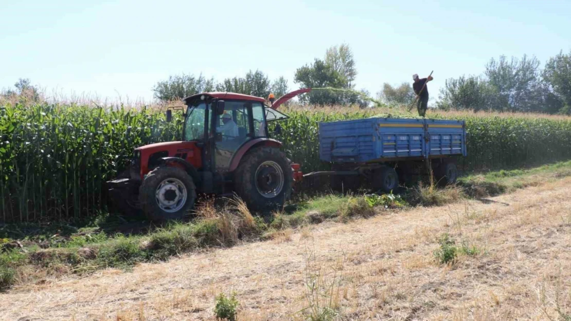 Elazığ'da silajlık mısır hasat etkinliği düzenlendi