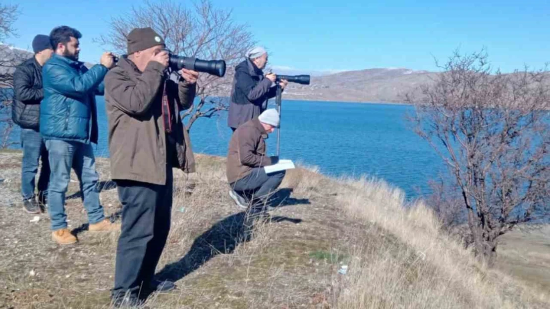 Elazığ'da su kuşu popülasyonunun tespiti için çalışma yapıldı