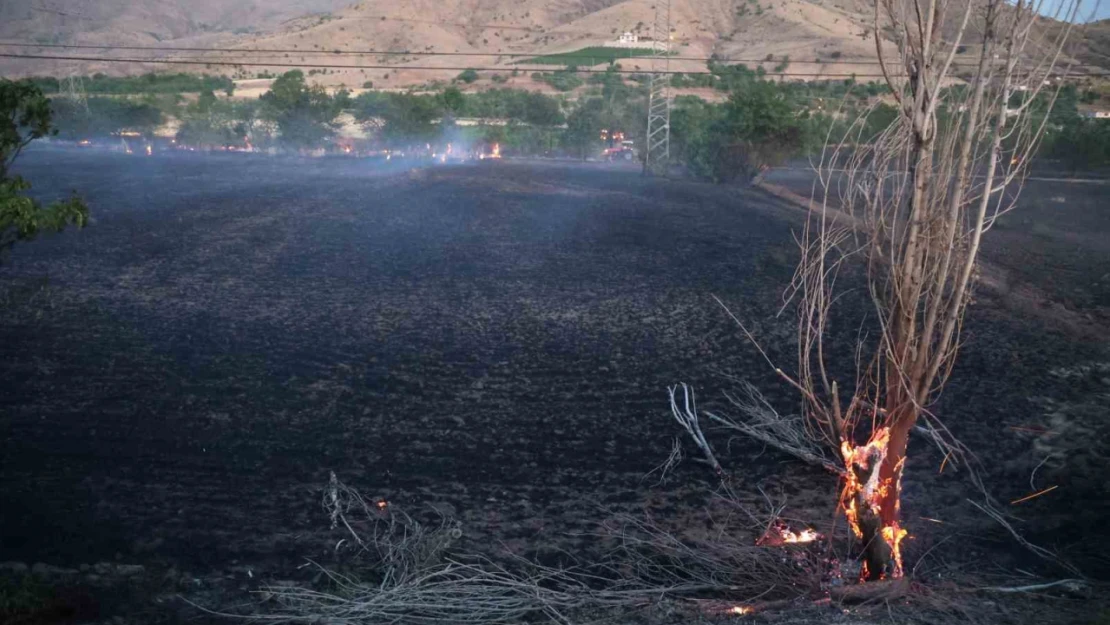 Elazığ'da yangın: 20 dönüm ekili alan kül oldu