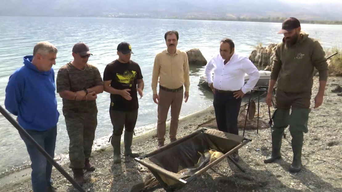 Hazar Gölü'nde sazan balığı kampı düzenlendi