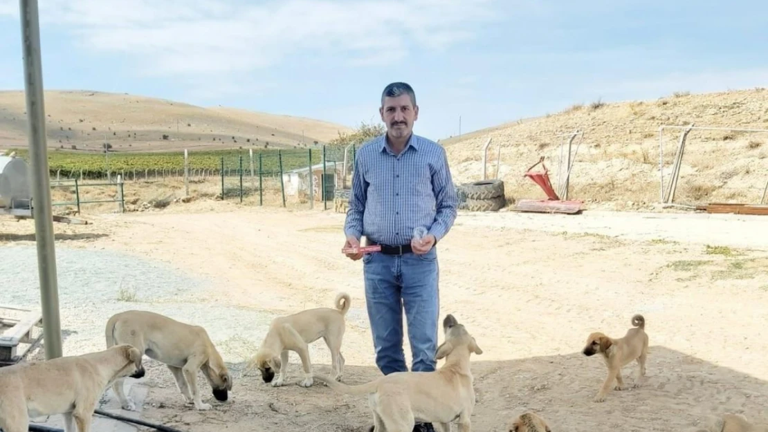 Köy muhtarının hayvan sevgisi: çeyrek asırdır sahipsiz köpekleri besliyor