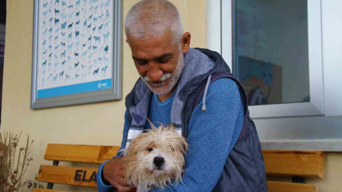 Muğla'da çalınan köpek, çipi sayesinde Elazığ'da bulunarak sahibine teslim edildi