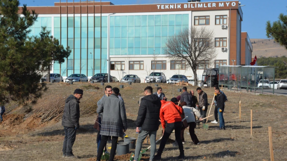 Öğrenciler 500 fidanı toprakla buluşturdu