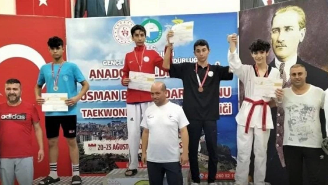 Taekwondo Türkiye şampiyonası'nda Elazığ rüzgarı