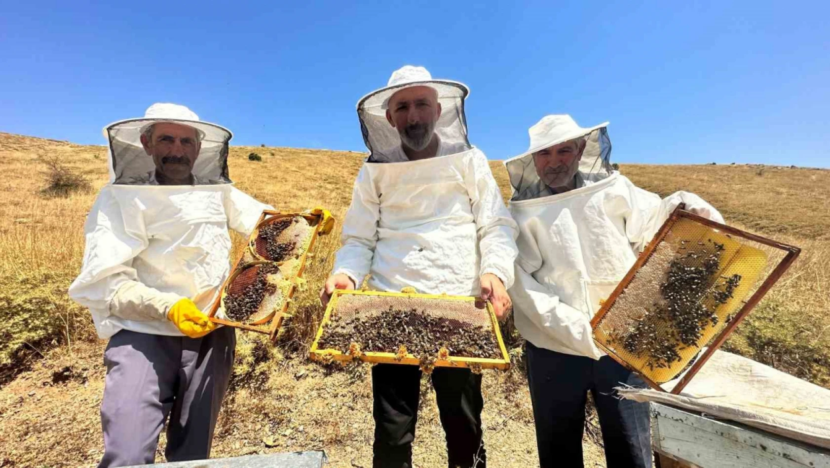 2000 rakımda tescilli geven balının hasadı başladı