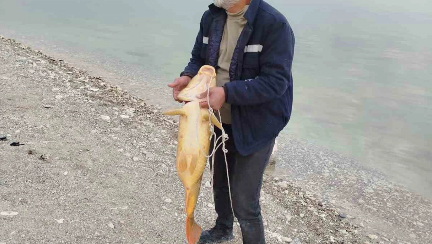 21 kiloluk sazan yakaladı, mutluluğu tebessüm ettirdi