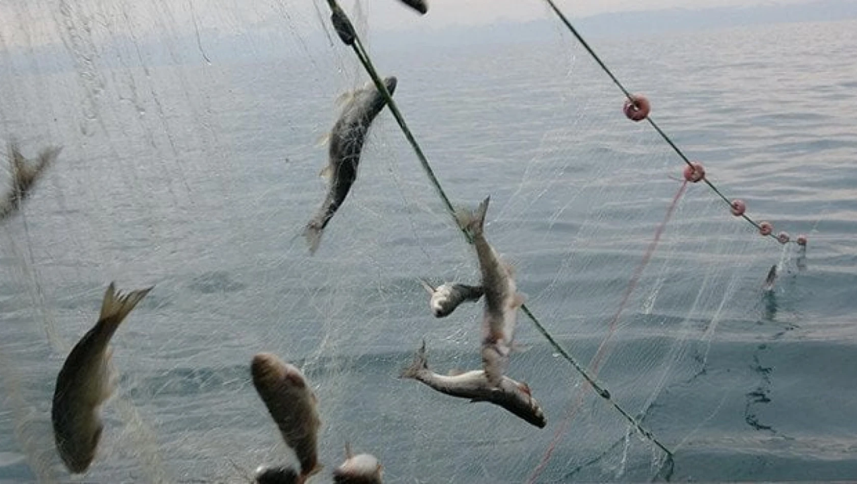 Balık avı yasağı başladı