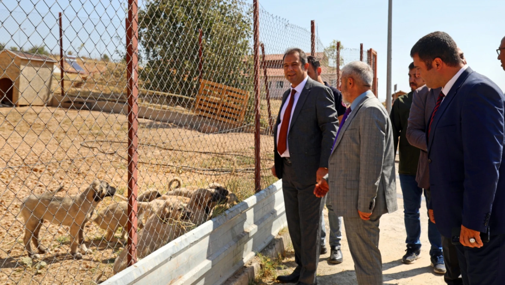 Elazığ belediyesi geçici hayvan bakımevi ve rehabilitasyon merkezi'ne ziyaret