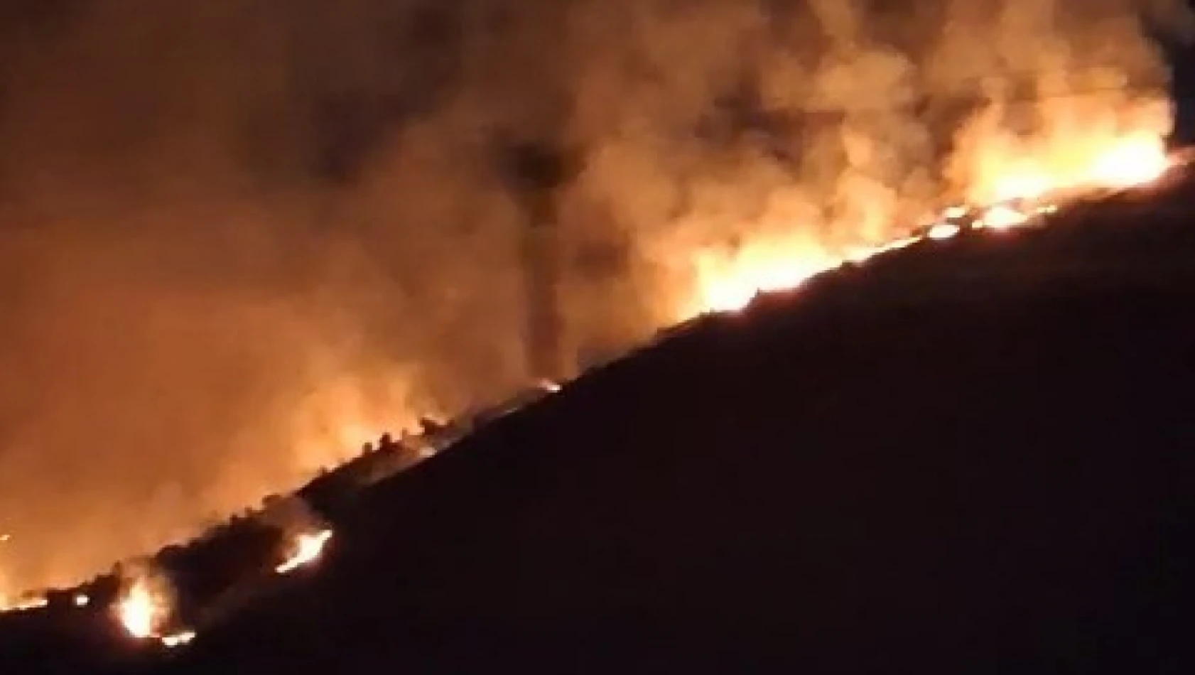 Elazığ'da arazi yangını