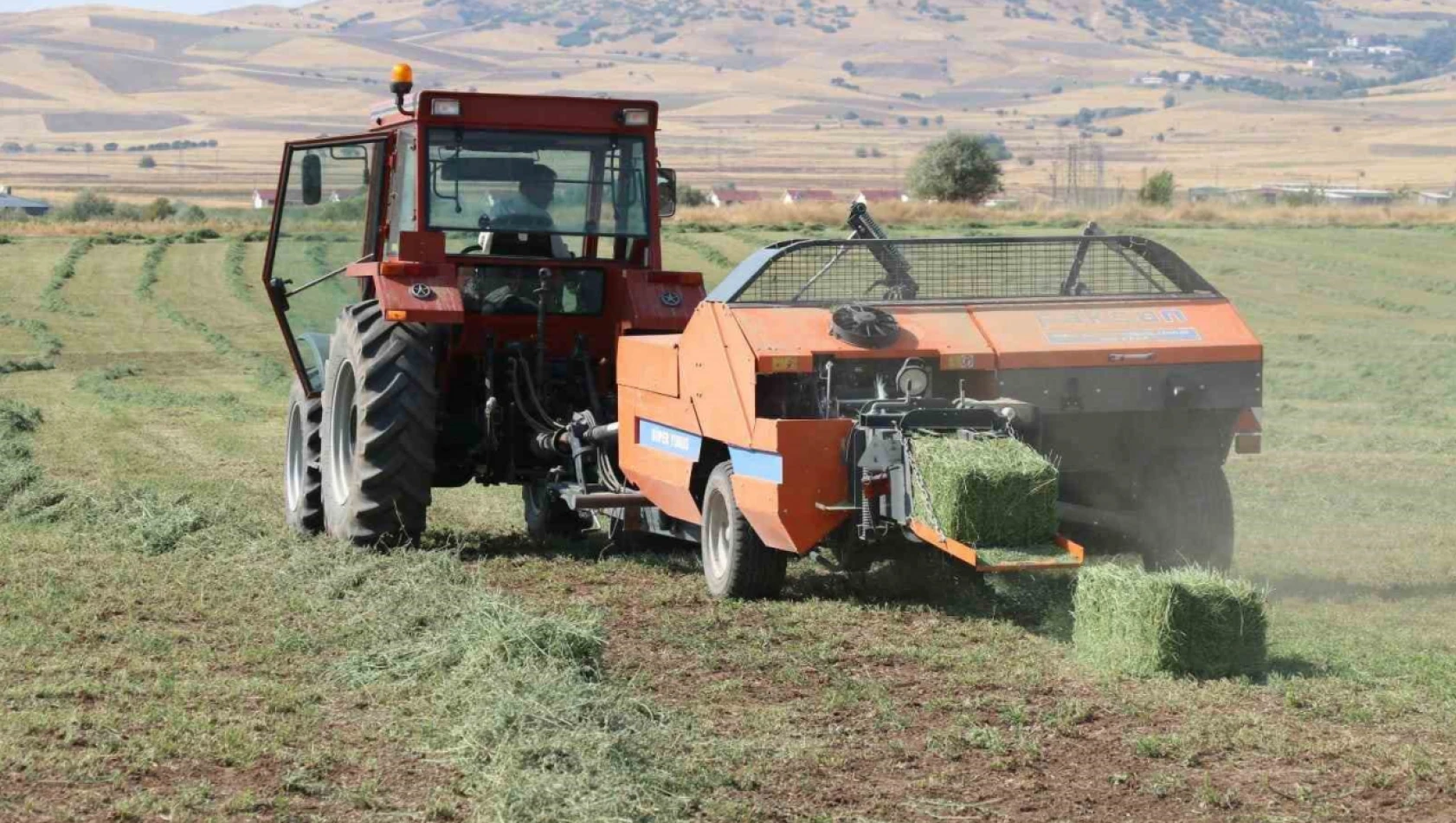 Elazığ'da balyalama  mesaisi başladı