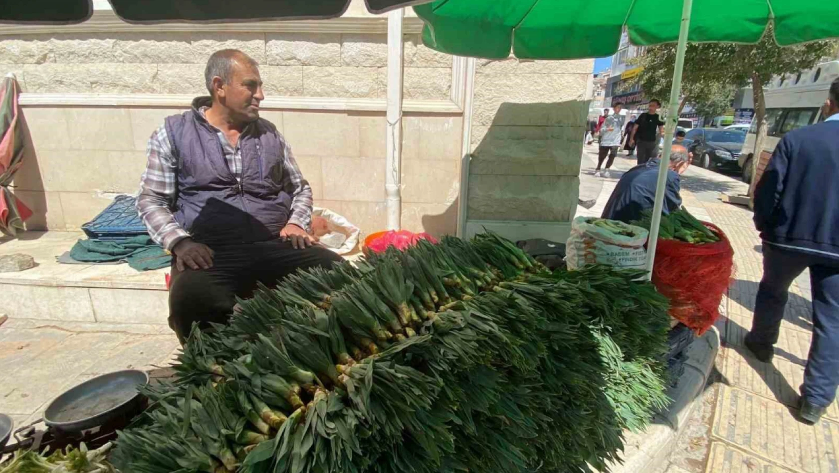 Elazığ'da çiriş otu tezgahlarda yerini aldı