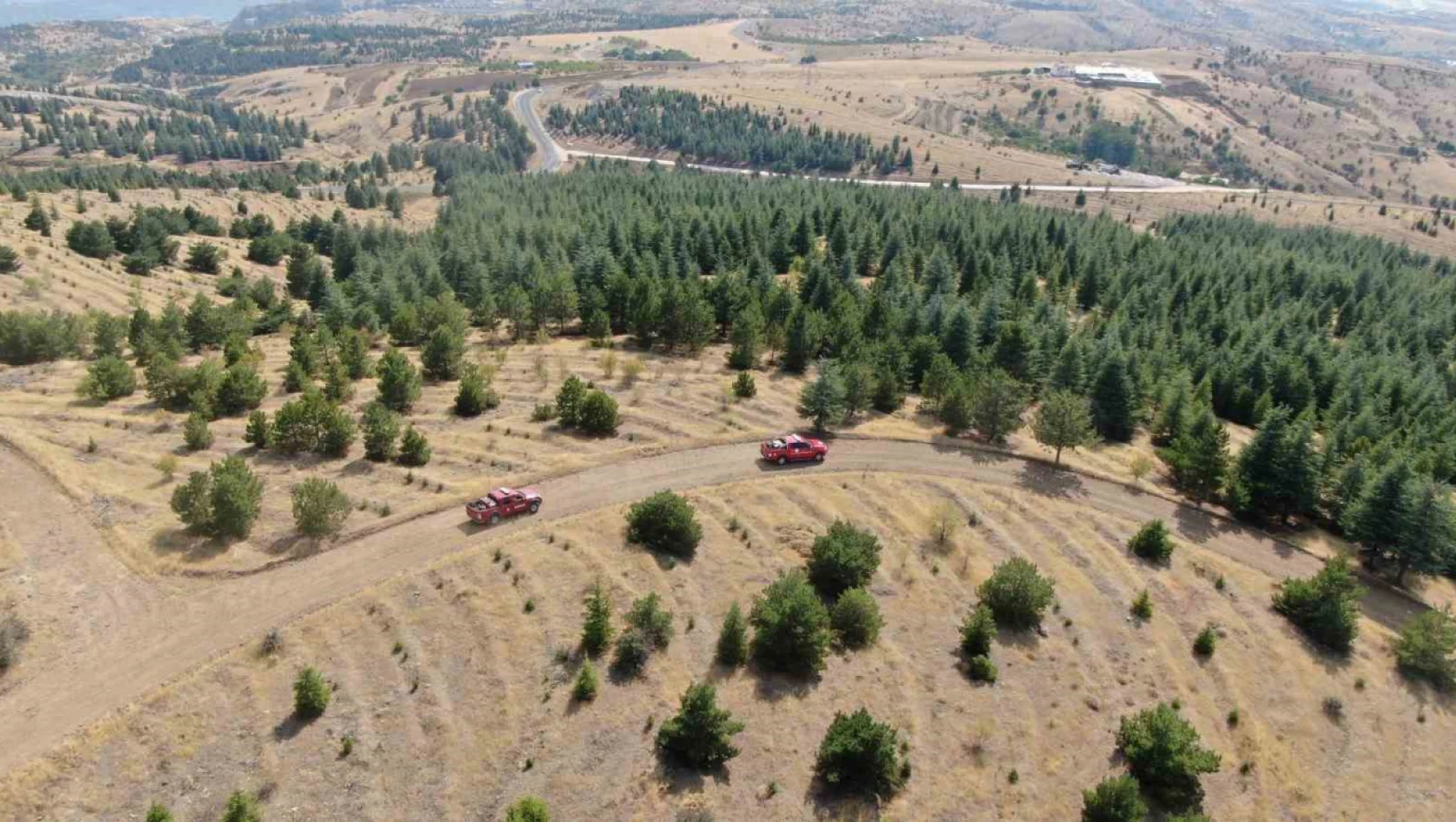 Elazığ'da orman ekipleri, havadan ve karadan denetimlerini sürdürüyor