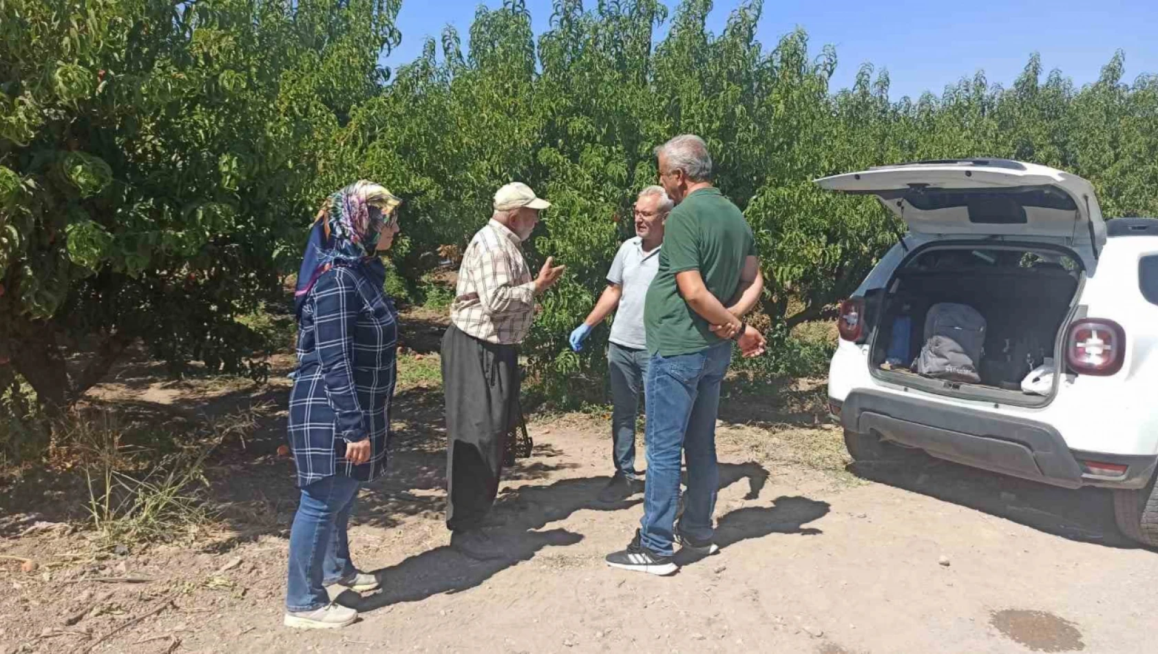 Elazığ'da şeftali bahçelerinde zararlı kontrolleri devam ediyor