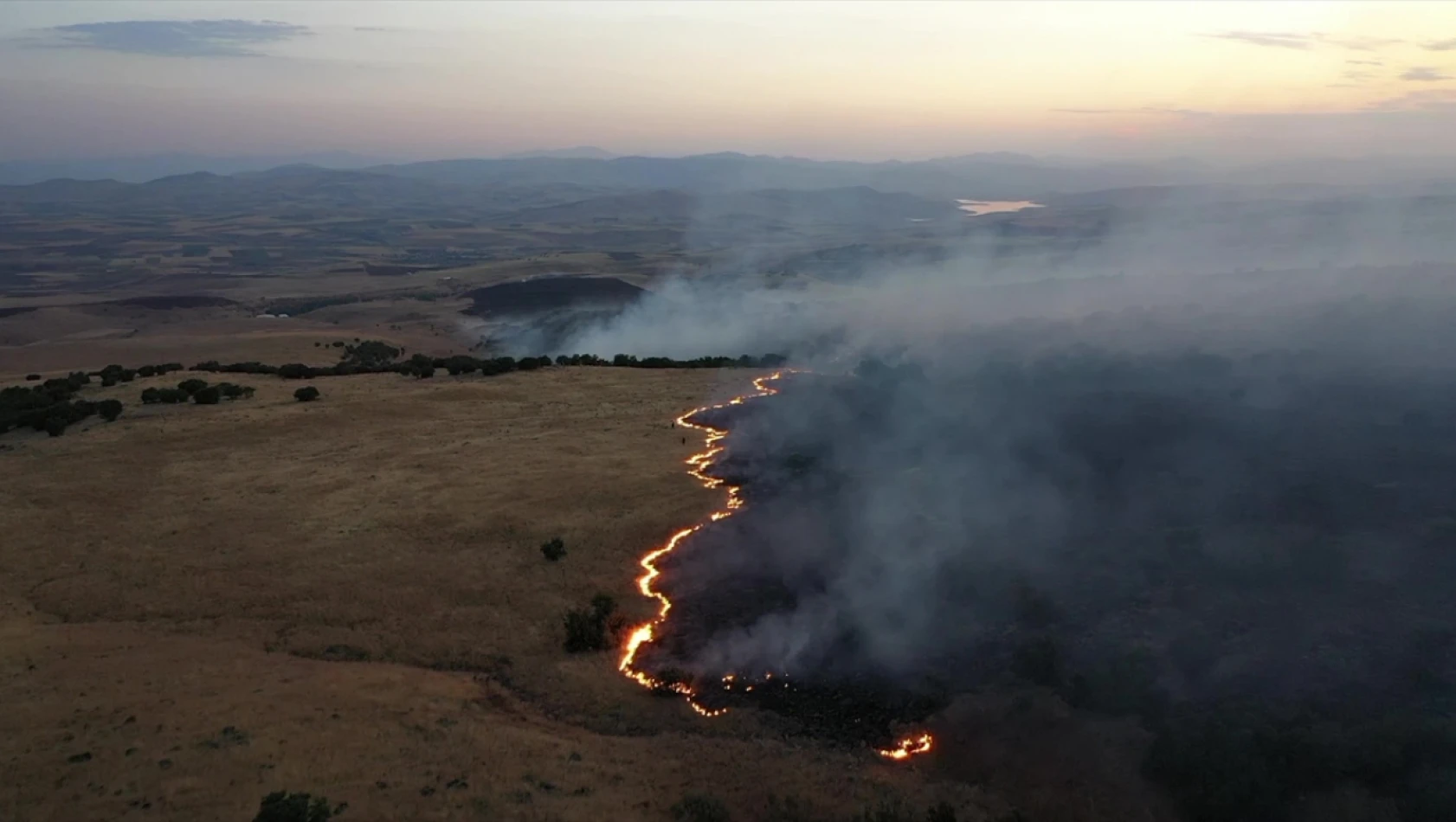 Karakoçan'da ormanlık alanda yangın