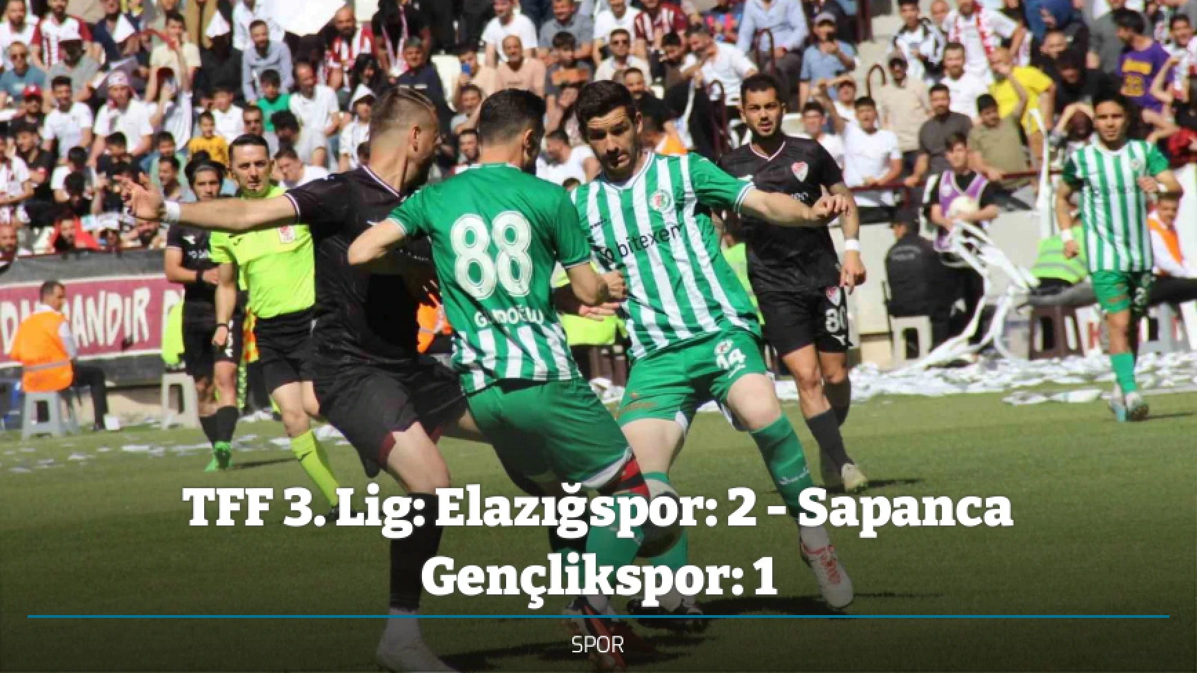 TFF 3. Lig: Elazığspor: 2 - Sapanca Gençlikspor: 1