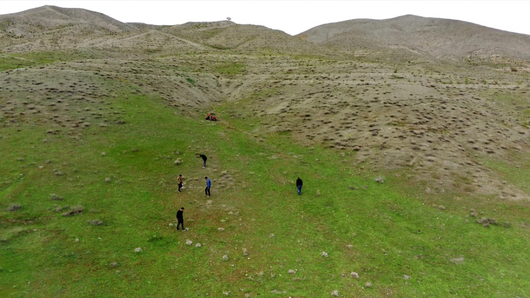 Elazığ'da Köylüler, Kırsalda Kumi Mantarı Topluyor