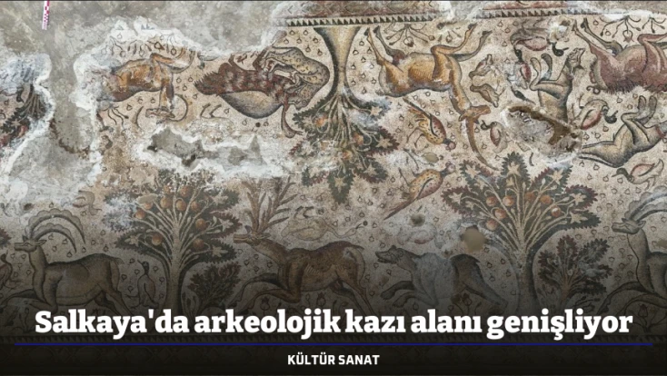 Salkaya'da arkeolojik kazı alanı genişliyor