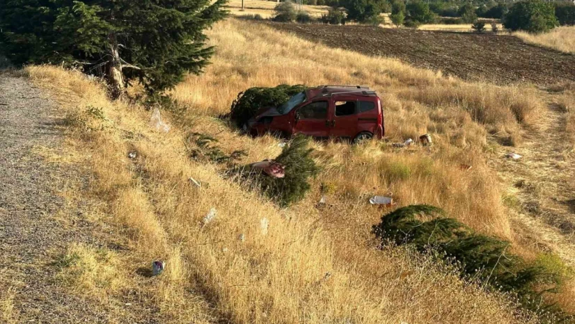 Elazığ'da hafif ticari araç şarampole uçtu: 1 ölü, 4 yaralı